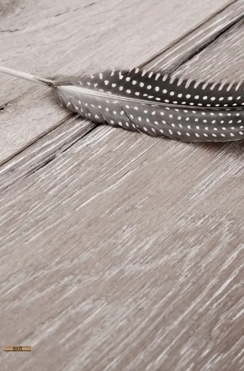 Engineered Wood Flooring for Dubai Villas | EXIT UAE – Moisture-Resistant & Elegant